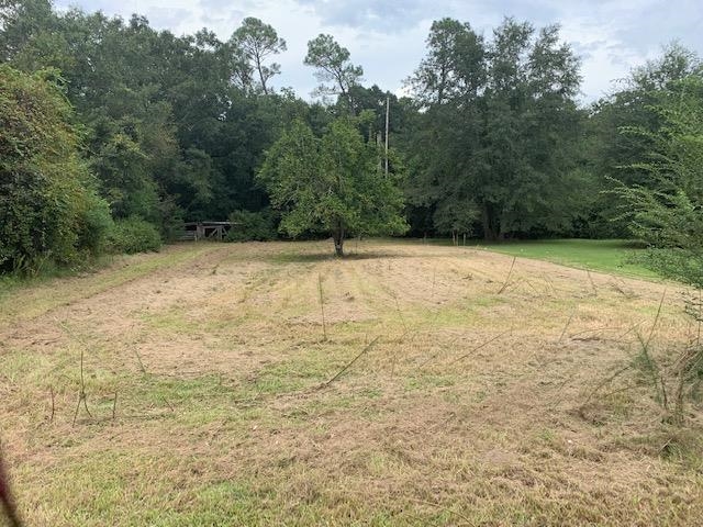 0 Perdido Street Atmore, AL 36502 - Photo 2 of 3