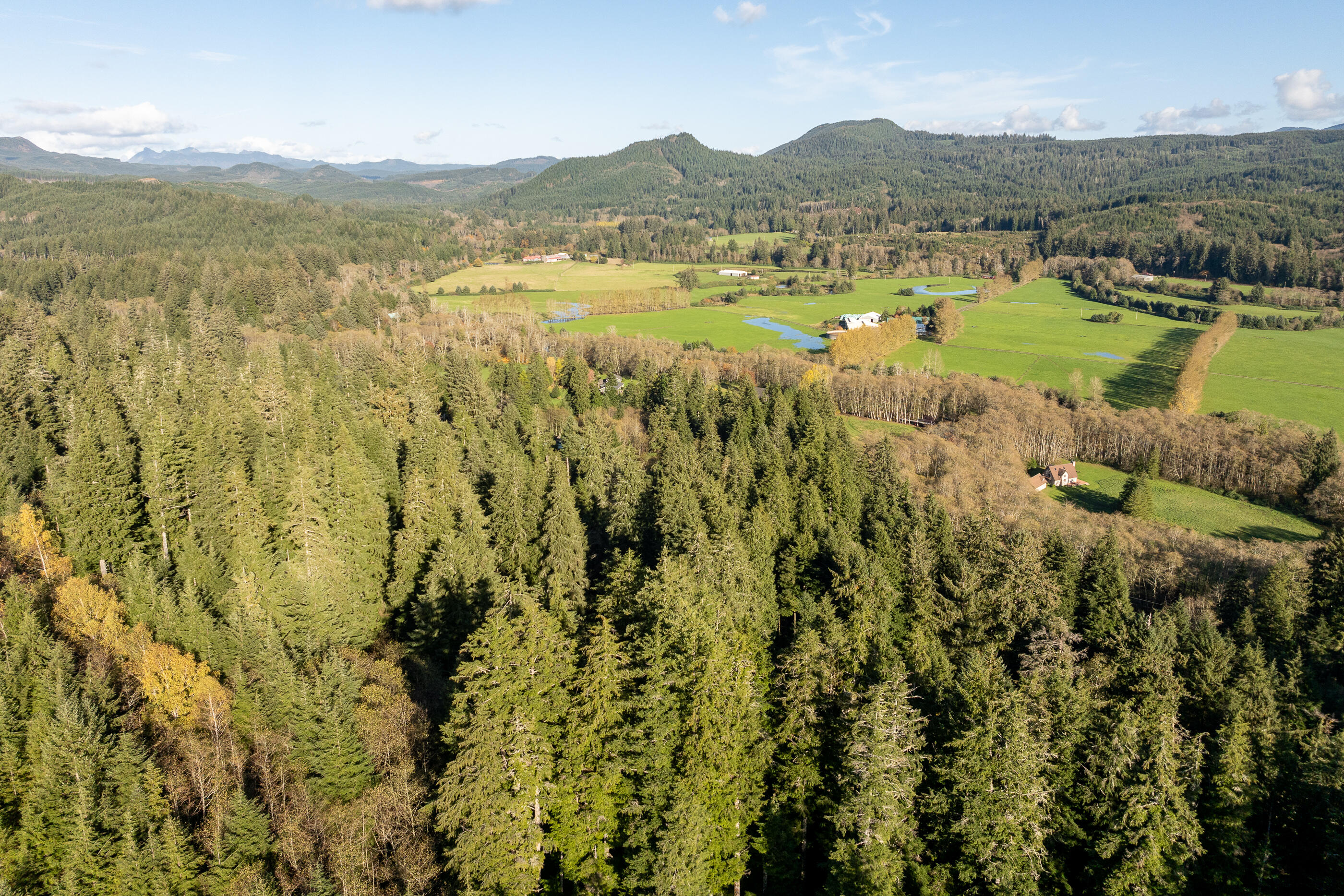 01000 Katherine Lane Nehalem, OR 97131 - Photo 13 of 13 Katherine-13-Walsh-River_Bend_Lot-019-Br