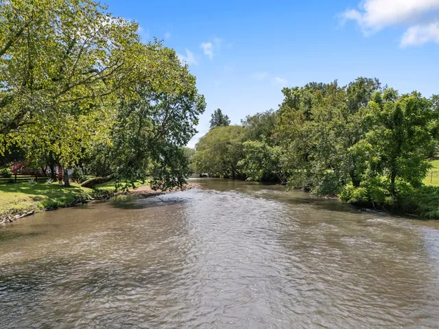 a view of a field with plants and trees in the background