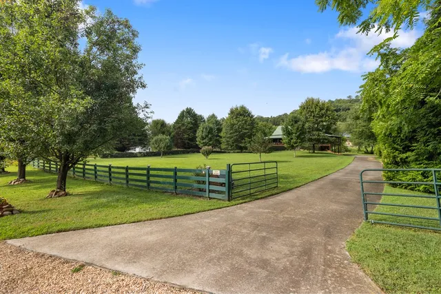 a view of a park with large trees