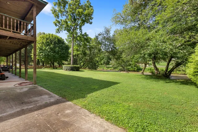a view of a park with large trees