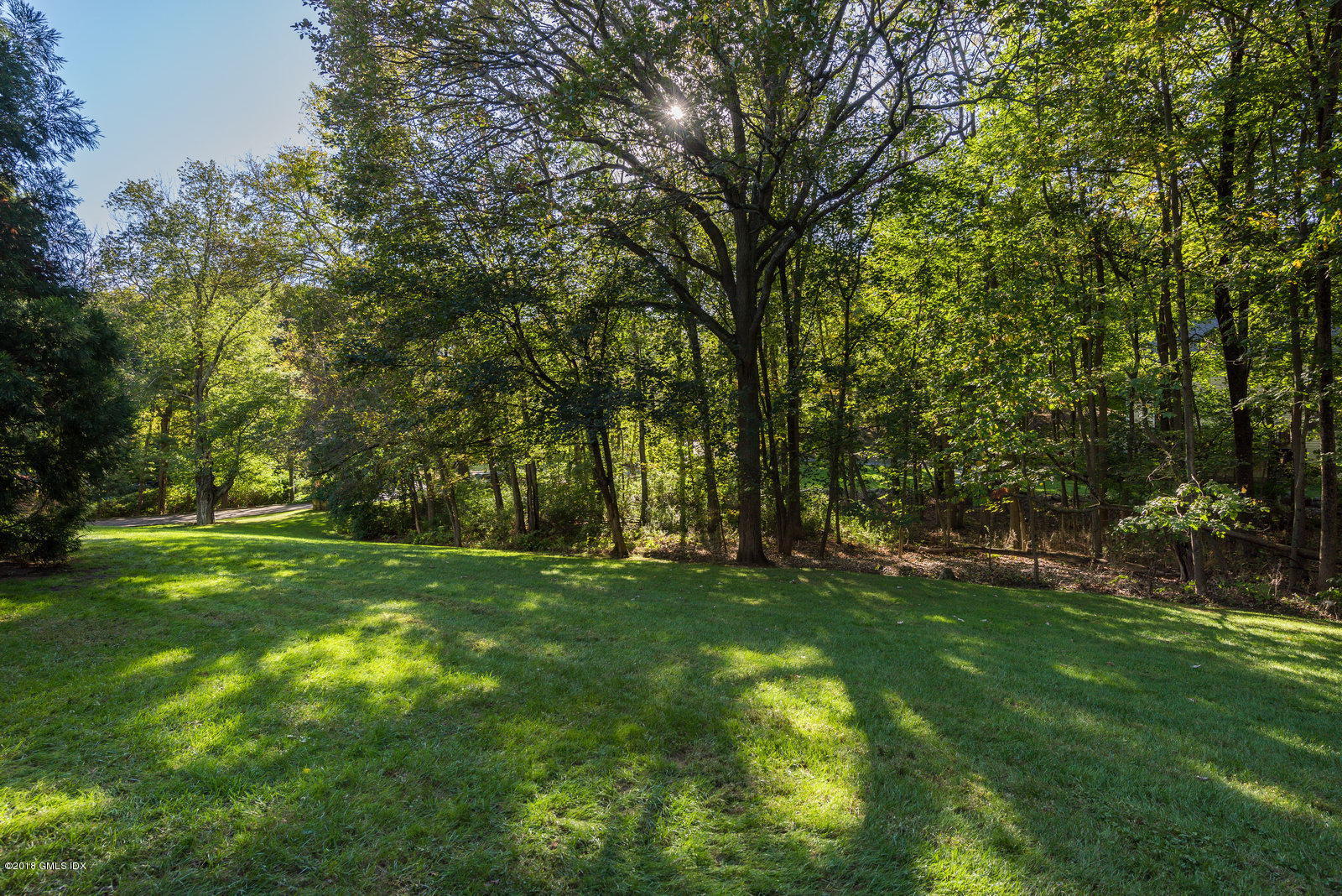 341 Stanwich Road Greenwich, CT 06830 - Photo 18 of 18 a view of a trees with a yard
