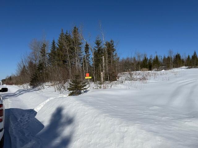 D McDonald Road Mapleton, ME 04757 - Photo 2 of 8 IMG_2247