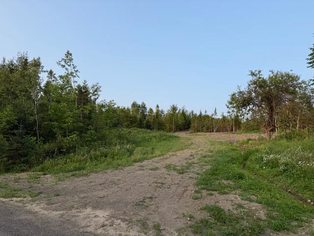 D McDonald Road Mapleton, ME 04757 - Photo 4 of 8 IMG_1037