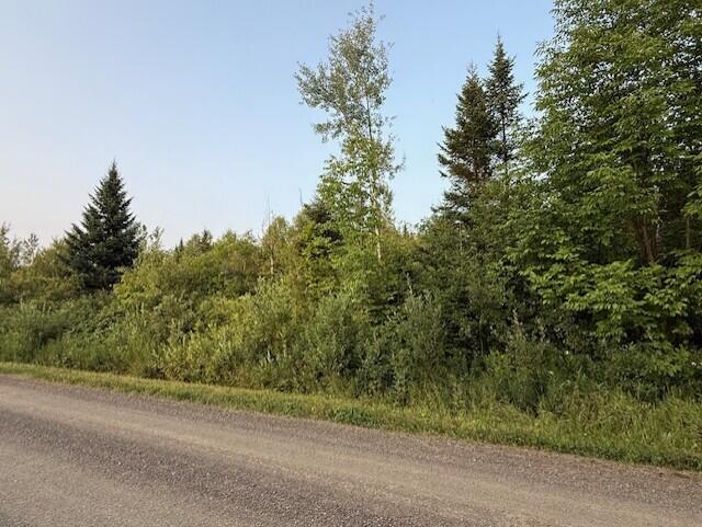 D McDonald Road Mapleton, ME 04757 - Photo 5 of 8 thumbnail_IMG_1041