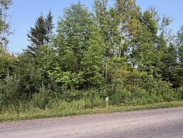 D McDonald Road Mapleton, ME 04757 - Photo 6 of 8 thumbnail_IMG_9412