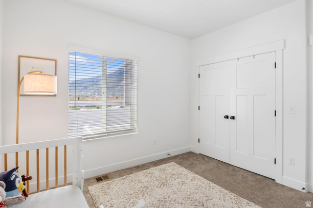 3407 South Pinyon Lane Mapleton, UT 84664 - Photo 19 of 56