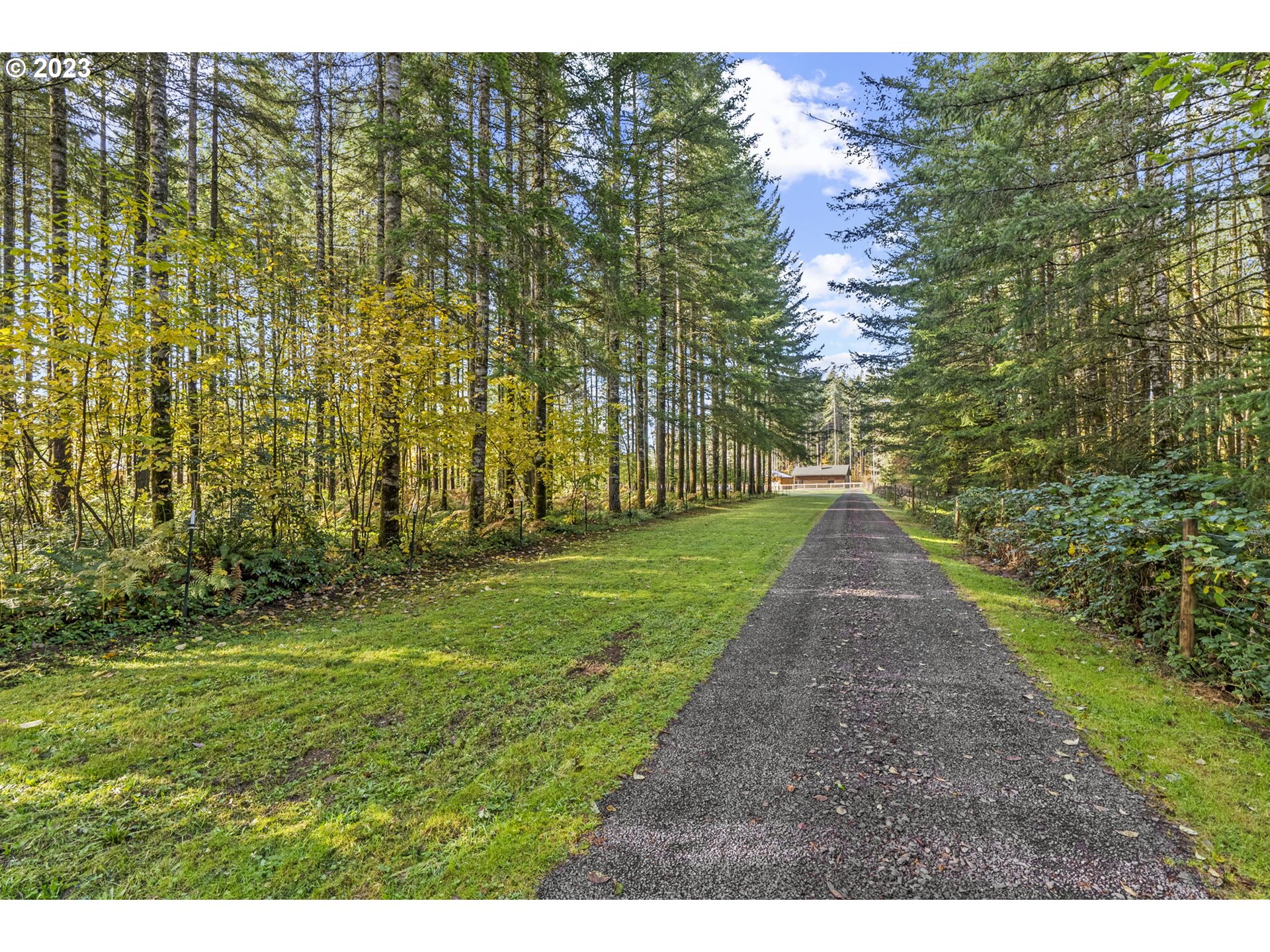 282 Hewitt Road Chehalis, WA 98532 - Photo 2 of 25 a view of a yard with plants