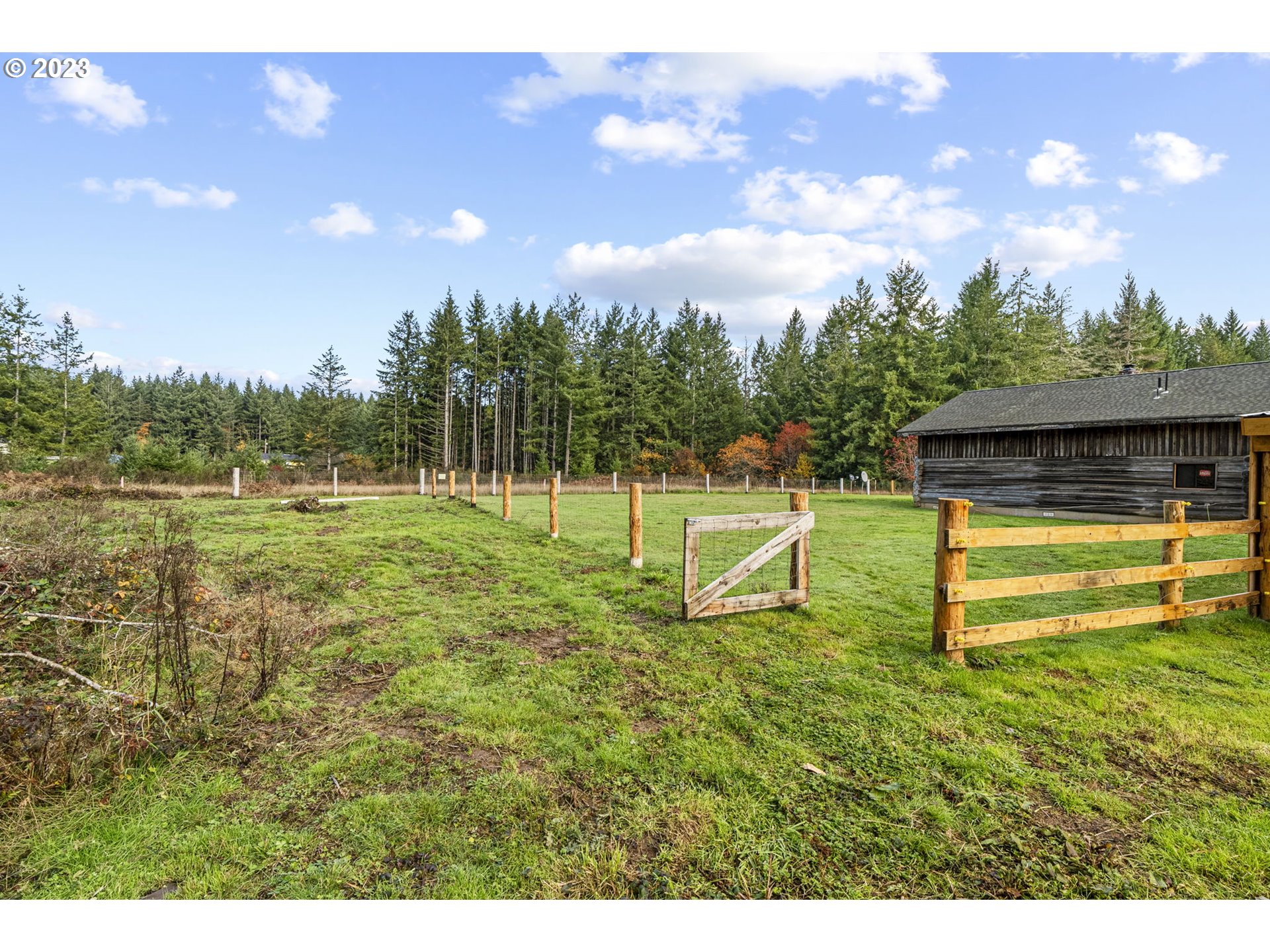 282 Hewitt Road Chehalis, WA 98532 - Photo 22 of 25 a view of a park with large trees