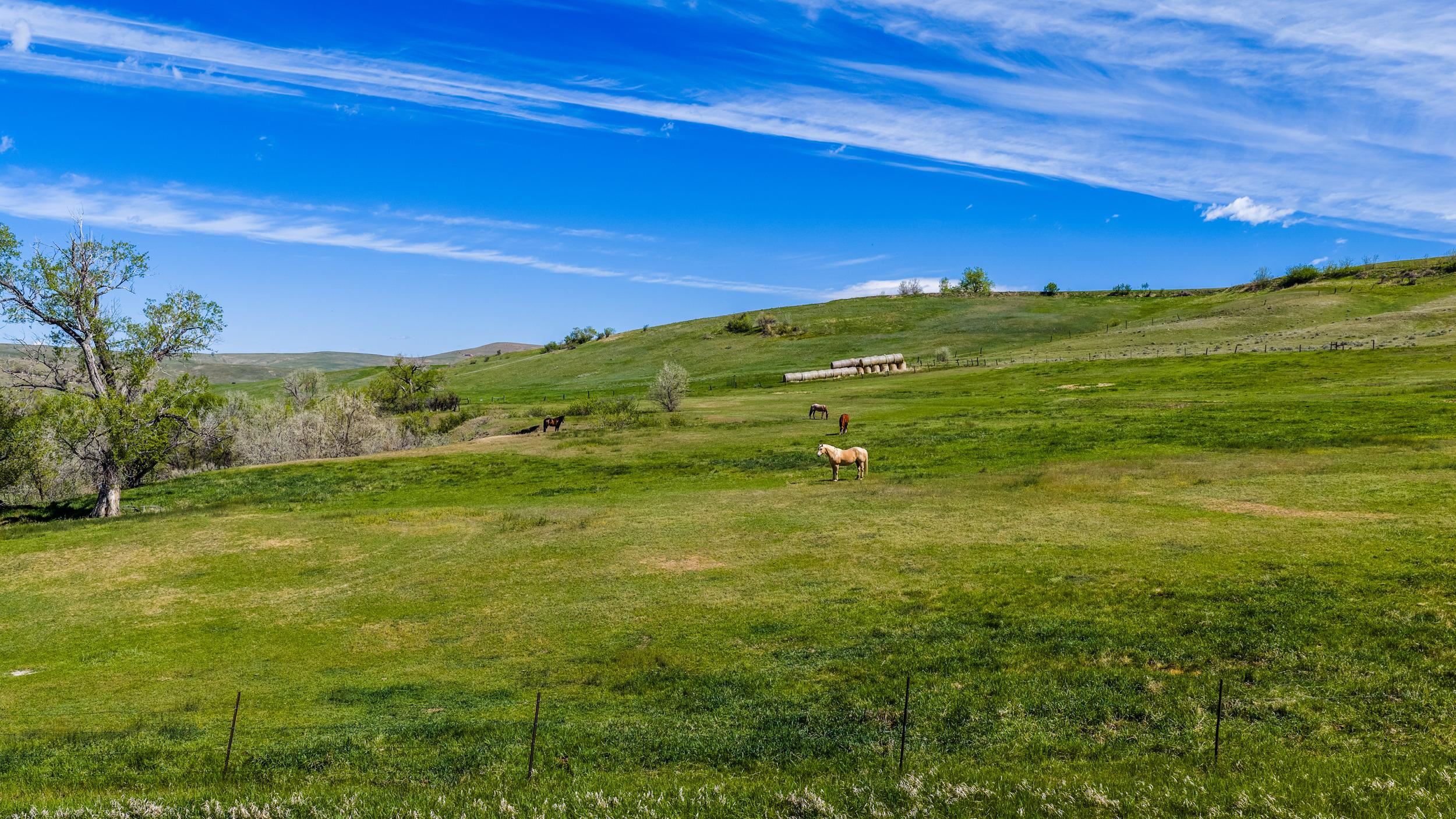 Tbd Beaver Creek Road Sheridan, WY 82801 - Photo 2 of 34