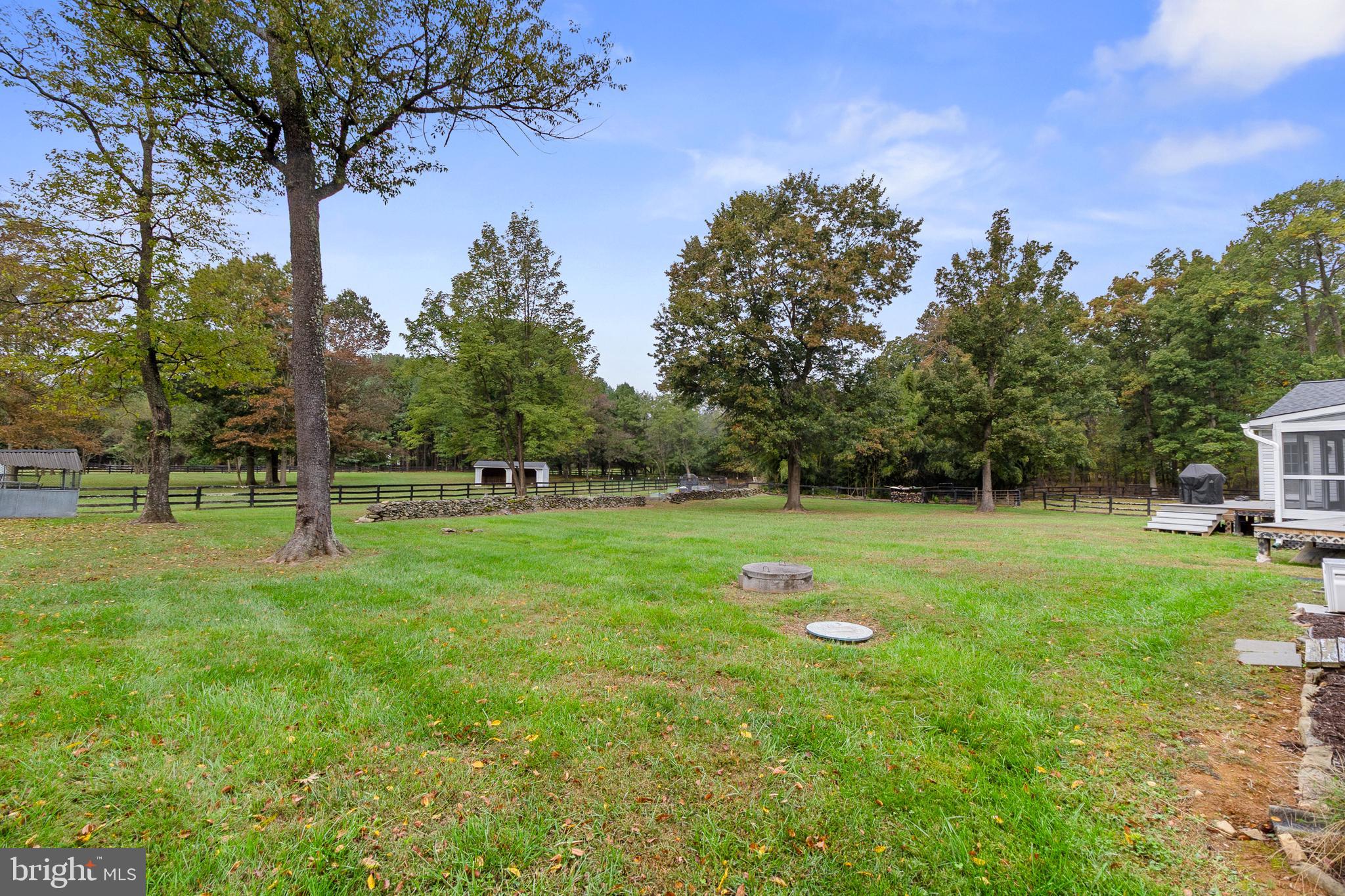 19821 Foggy Bottom Road Bluemont, VA 20135 - Photo 16 of 92 a view of a park with large trees