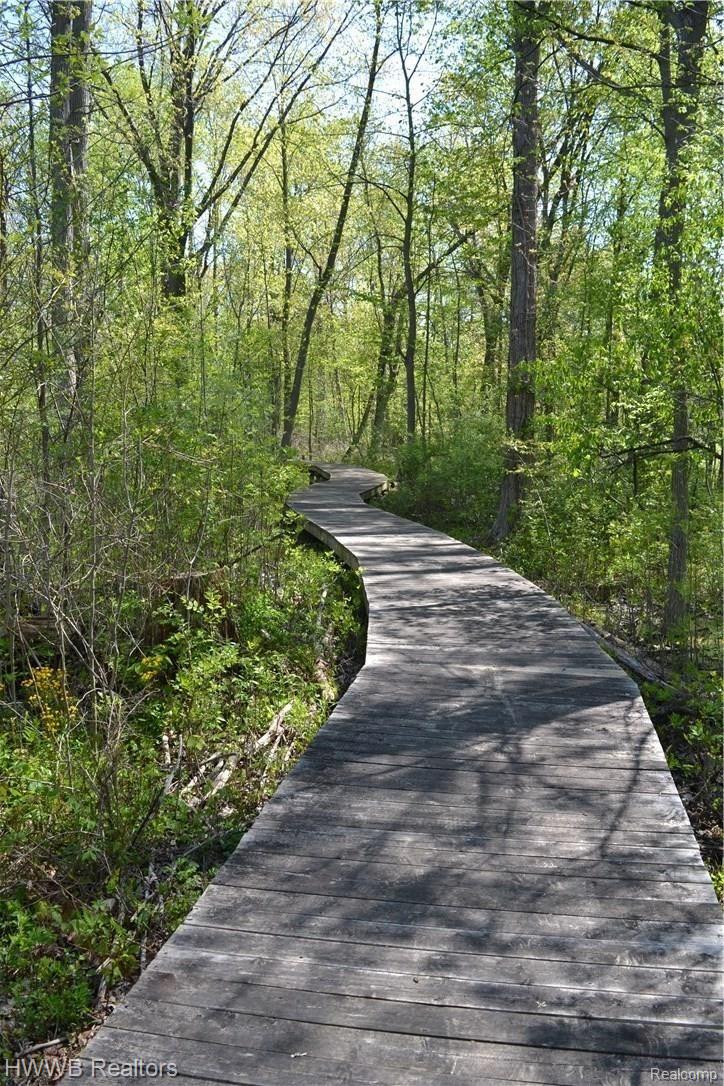 Amazing Path in Back of House