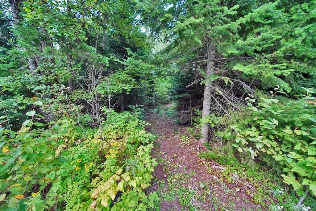 1312 U.S. Rte 1 Amity, ME 04471 - Photo 40 of 48 trails-recreation-property
