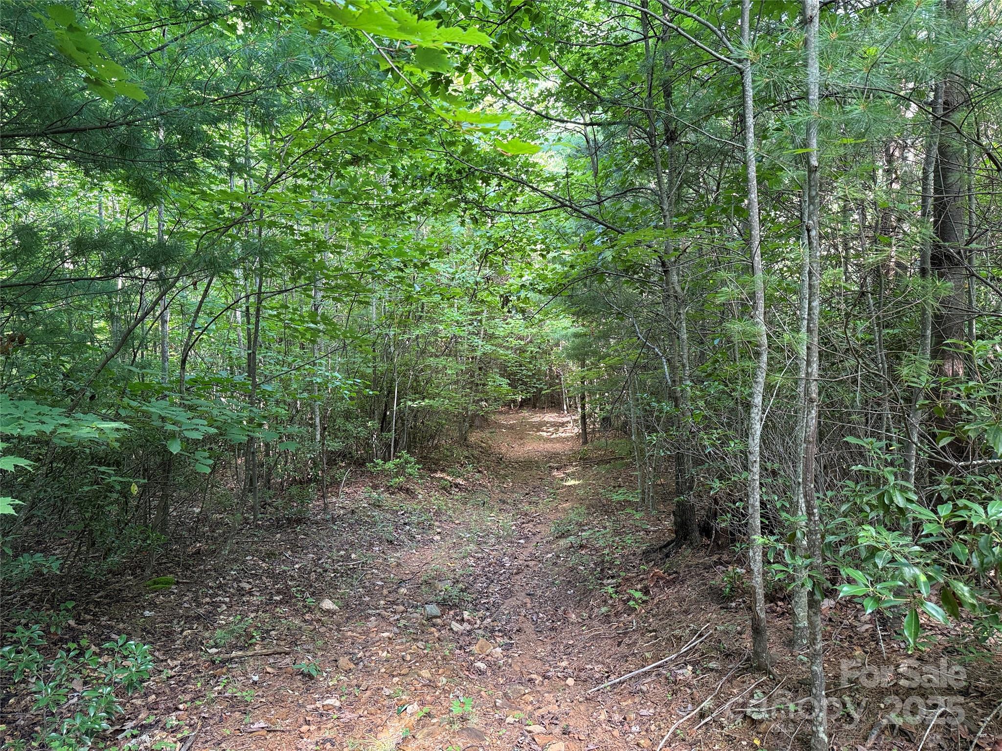Tbd Casey Mountain Road, Unit 191 & 192 Purlear, NC 28665 - Photo 11 of 45