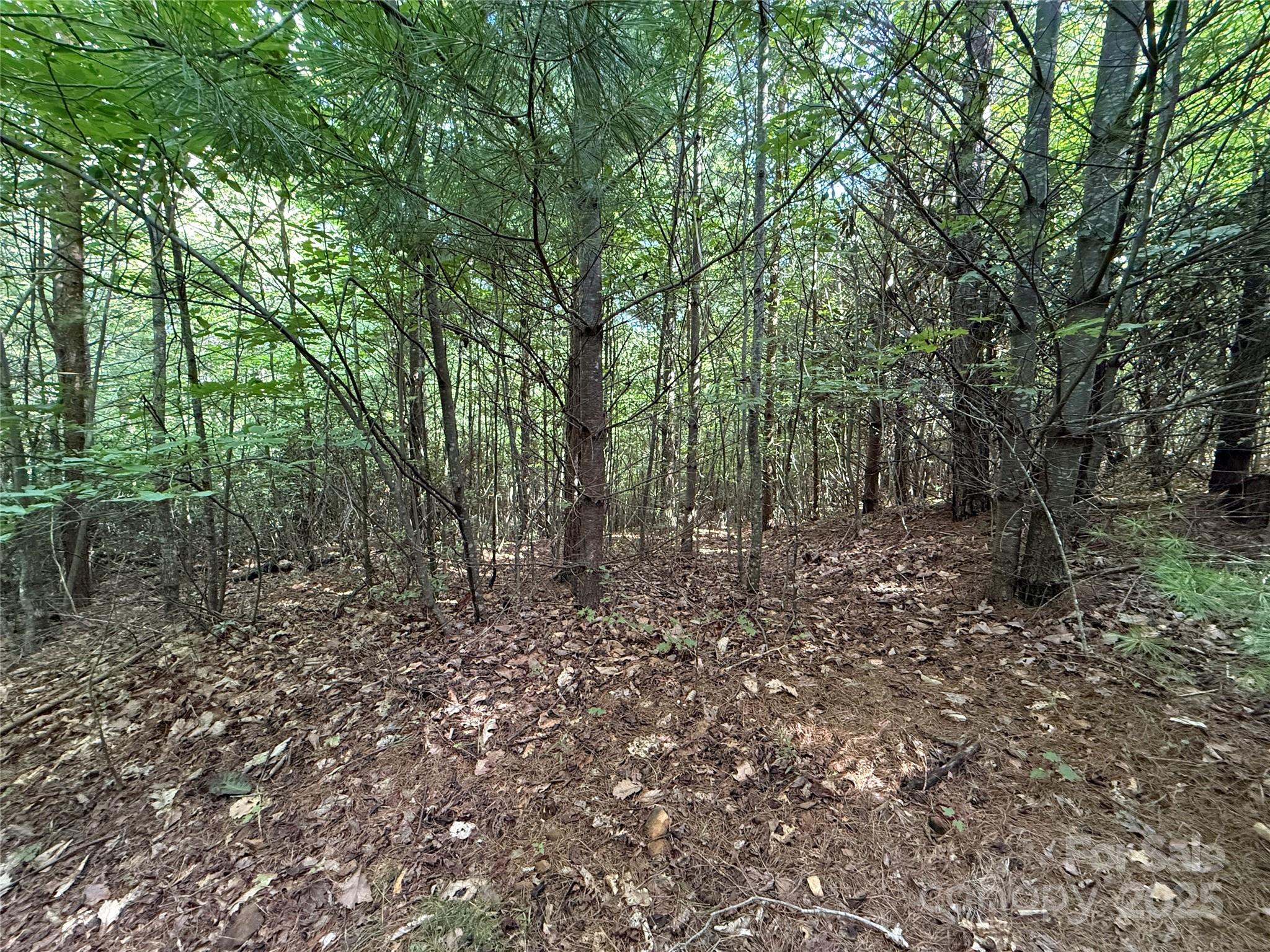 Tbd Casey Mountain Road, Unit 191 & 192 Purlear, NC 28665 - Photo 12 of 45