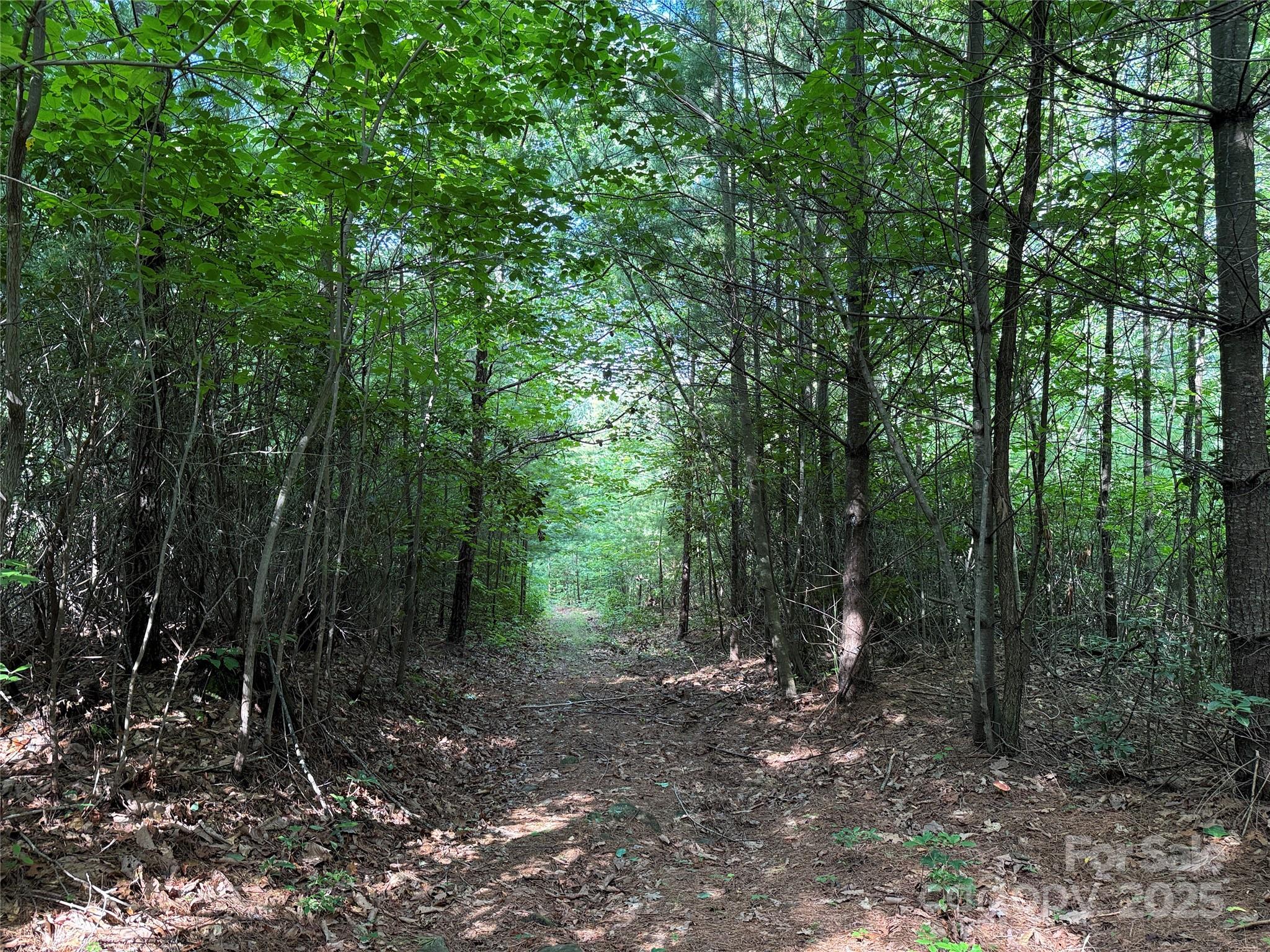 Tbd Casey Mountain Road, Unit 191 & 192 Purlear, NC 28665 - Photo 13 of 45