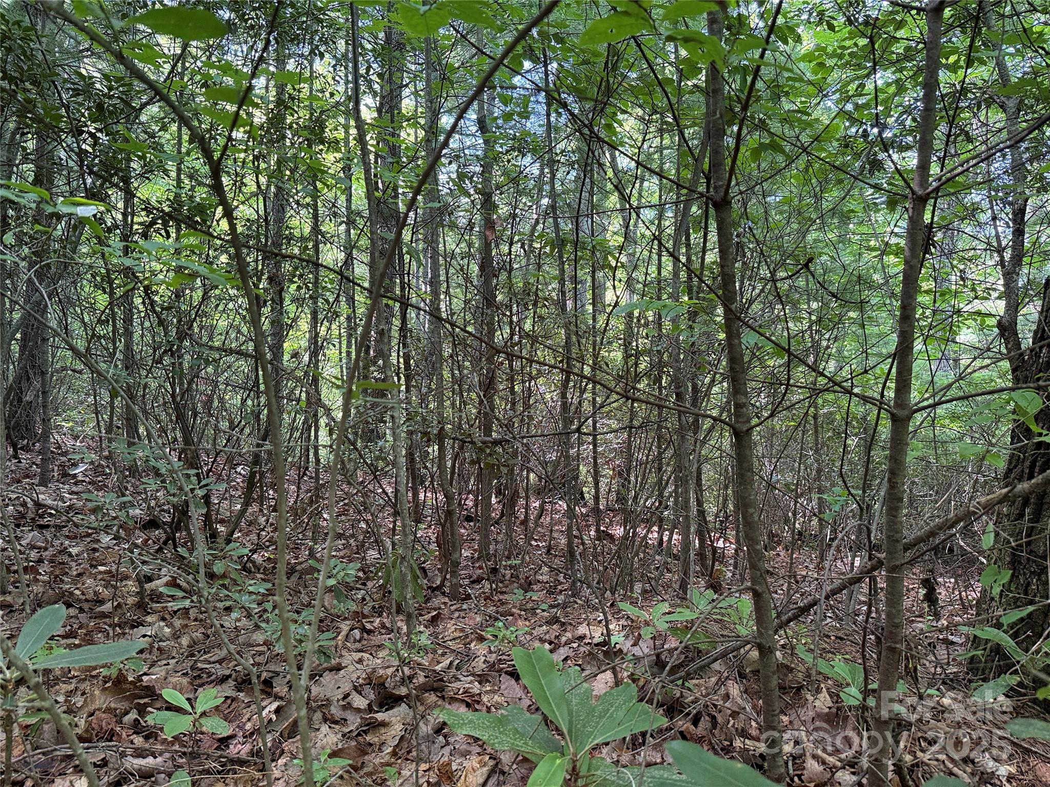 Tbd Casey Mountain Road, Unit 191 & 192 Purlear, NC 28665 - Photo 14 of 45