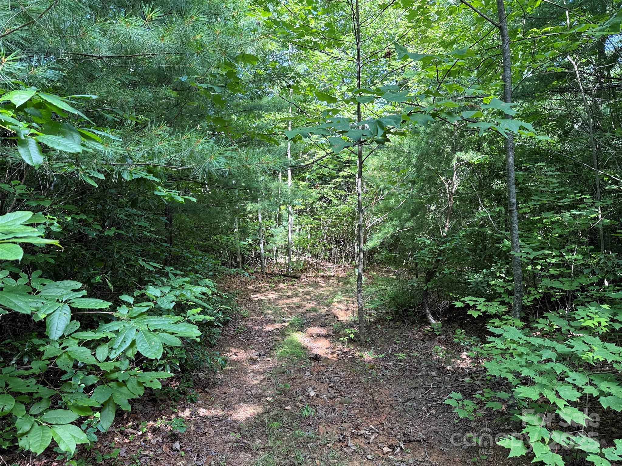 Tbd Casey Mountain Road, Unit 191 & 192 Purlear, NC 28665 - Photo 15 of 45