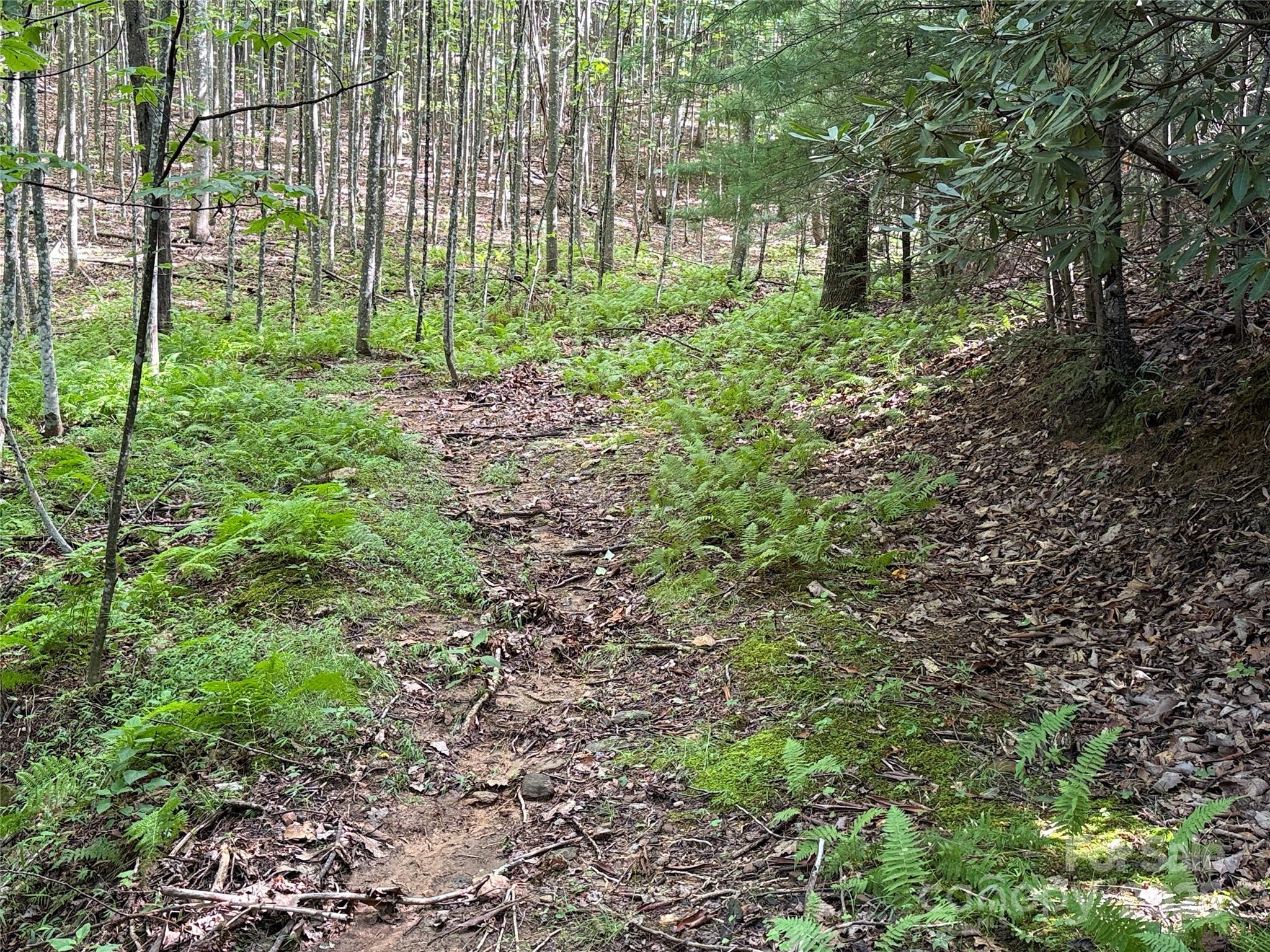 Tbd Casey Mountain Road, Unit 191 & 192 Purlear, NC 28665 - Photo 16 of 45