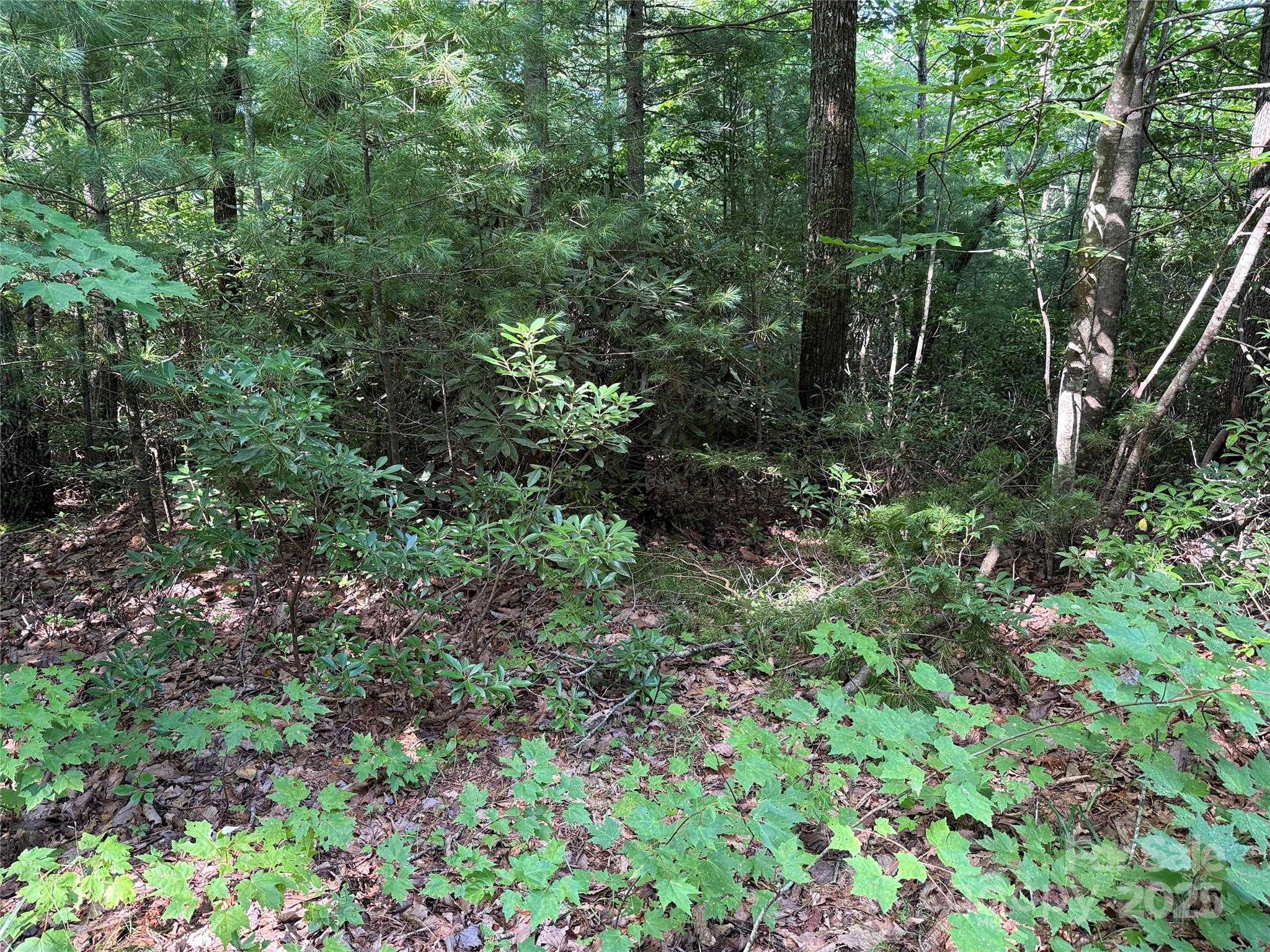 Tbd Casey Mountain Road, Unit 191 & 192 Purlear, NC 28665 - Photo 17 of 45