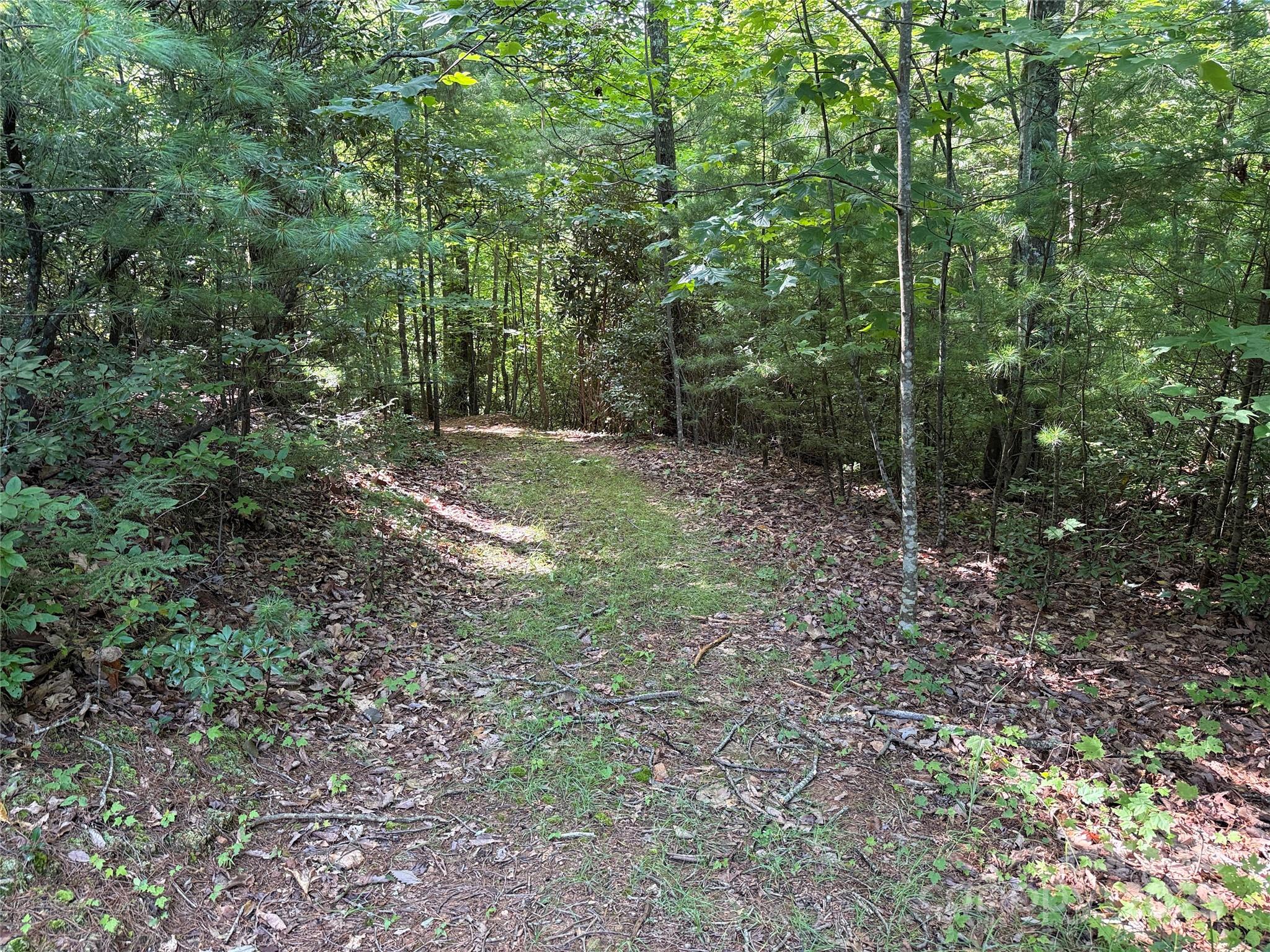 Tbd Casey Mountain Road, Unit 191 & 192 Purlear, NC 28665 - Photo 18 of 45