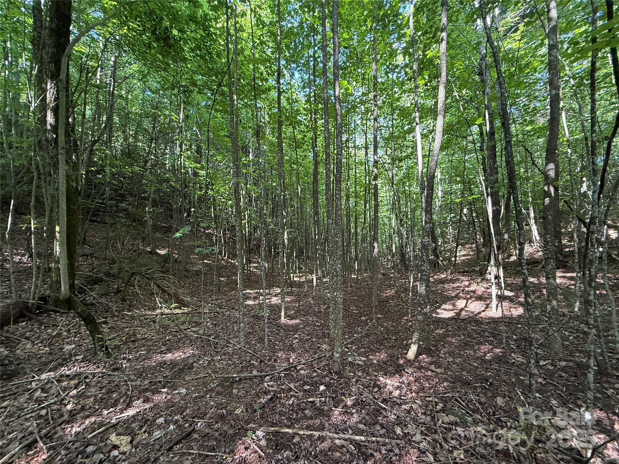 Tbd Casey Mountain Road, Unit 191 & 192 Purlear, NC 28665 - Photo 19 of 45