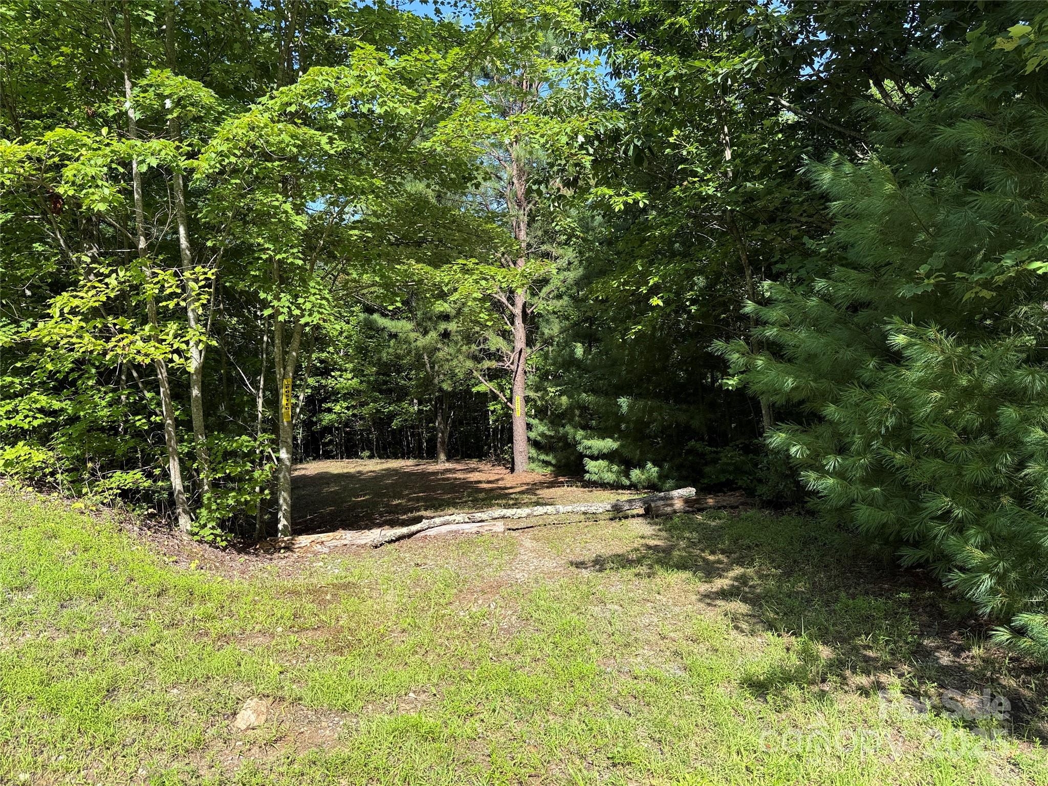 Tbd Casey Mountain Road, Unit 191 & 192 Purlear, NC 28665 - Photo 20 of 45