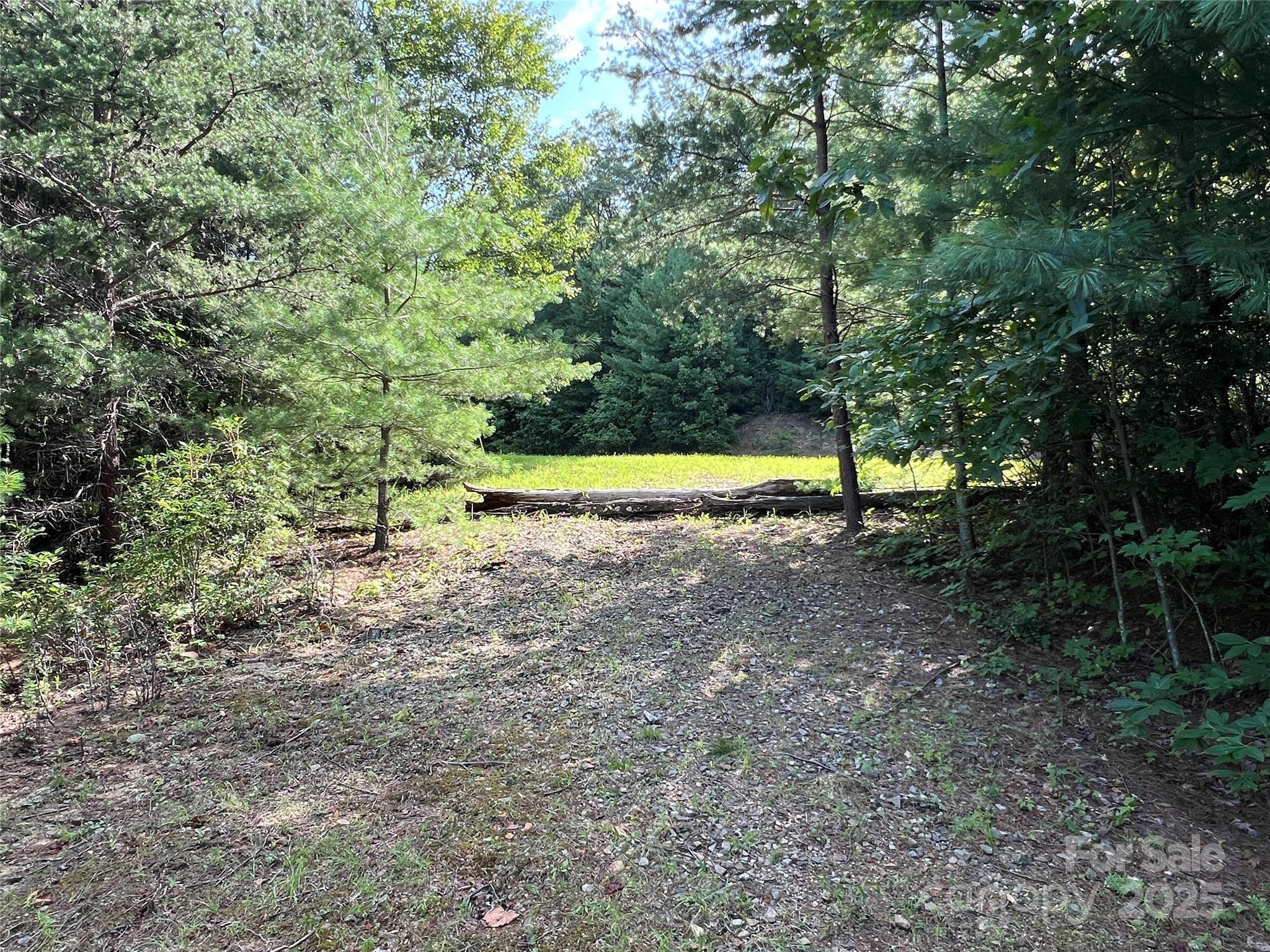 Tbd Casey Mountain Road, Unit 191 & 192 Purlear, NC 28665 - Photo 21 of 45