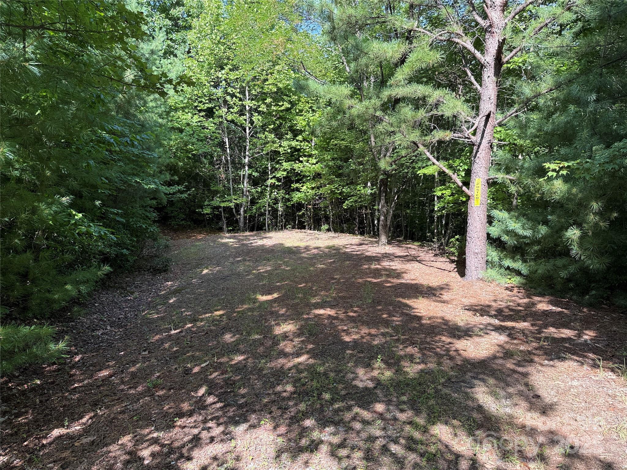 Tbd Casey Mountain Road, Unit 191 & 192 Purlear, NC 28665 - Photo 22 of 45