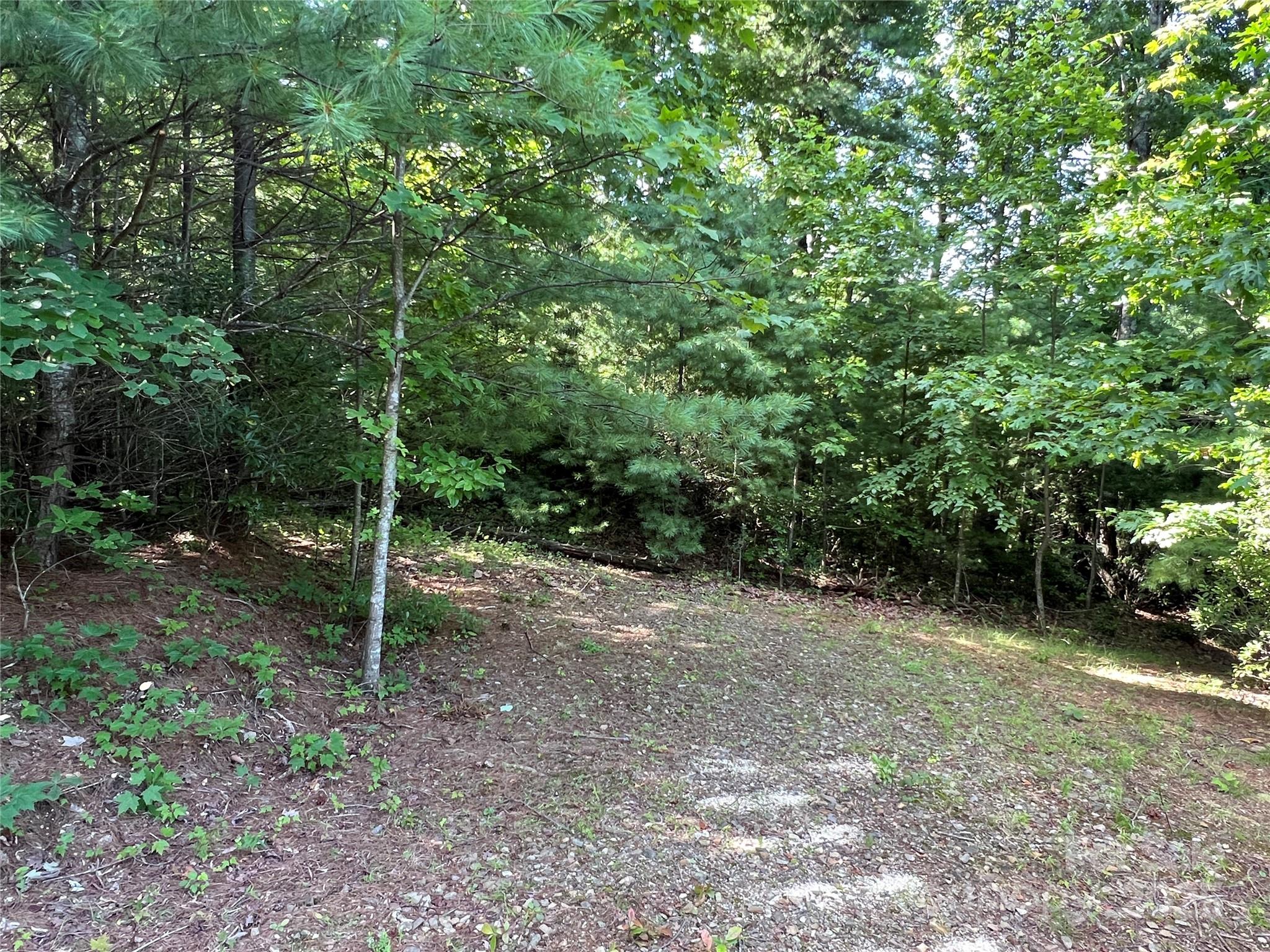 Tbd Casey Mountain Road, Unit 191 & 192 Purlear, NC 28665 - Photo 23 of 45