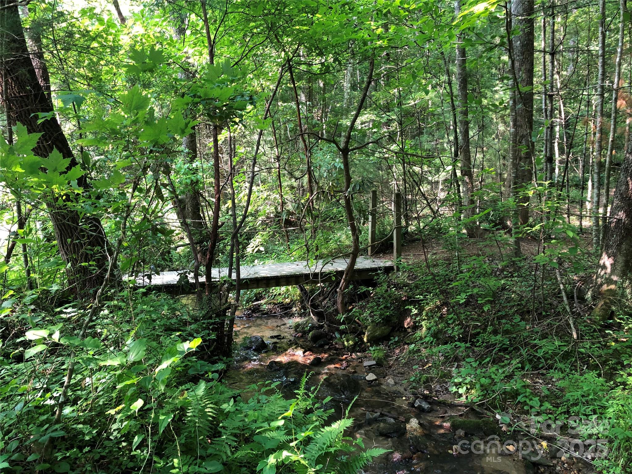 Tbd Casey Mountain Road, Unit 191 & 192 Purlear, NC 28665 - Photo 38 of 45