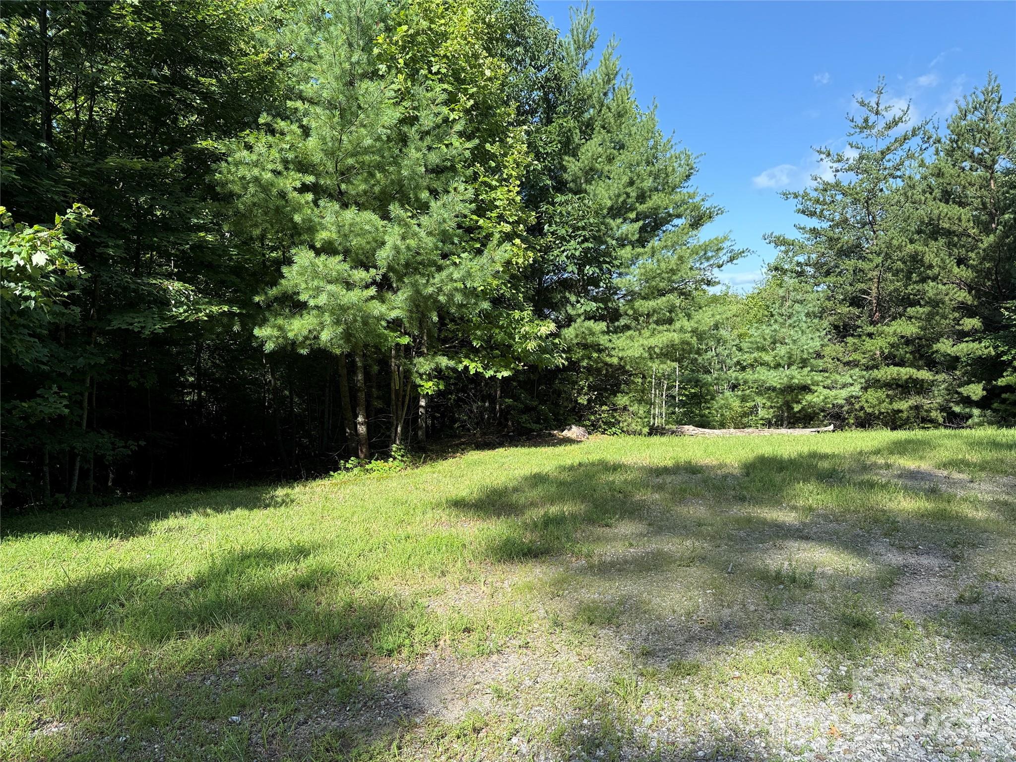 Tbd Casey Mountain Road, Unit 191 & 192 Purlear, NC 28665 - Photo 4 of 45