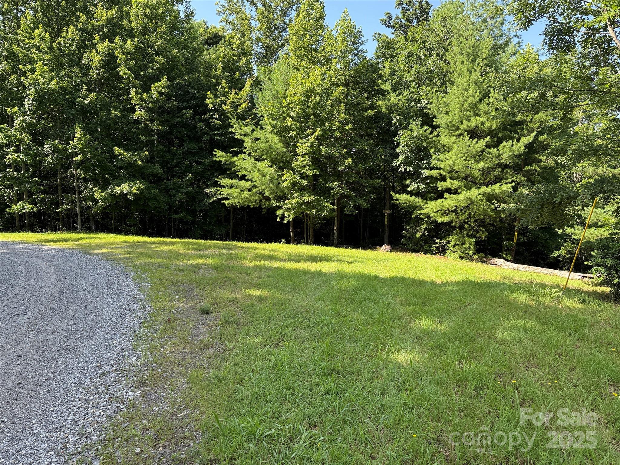 Tbd Casey Mountain Road, Unit 191 & 192 Purlear, NC 28665 - Photo 5 of 45