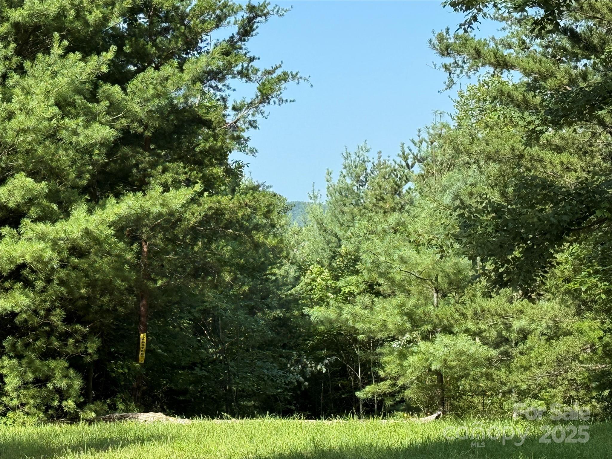 Tbd Casey Mountain Road, Unit 191 & 192 Purlear, NC 28665 - Photo 6 of 45