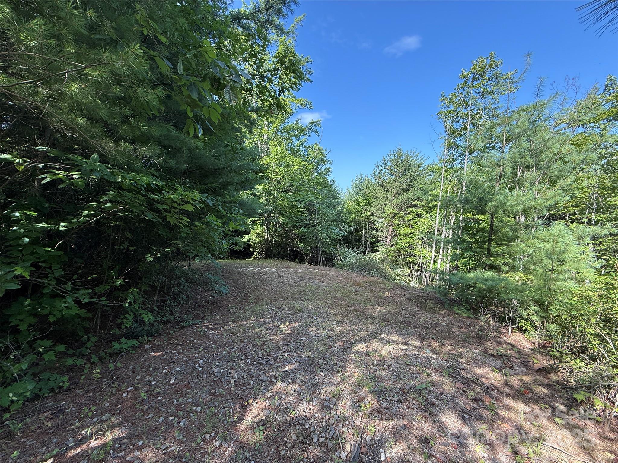 Tbd Casey Mountain Road, Unit 191 & 192 Purlear, NC 28665 - Photo 7 of 45