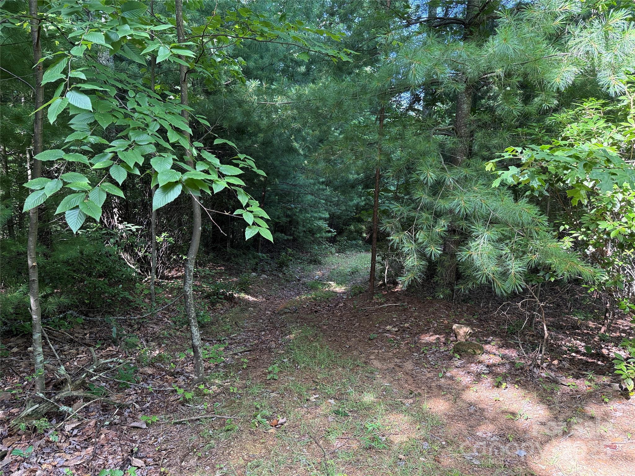 Tbd Casey Mountain Road, Unit 191 & 192 Purlear, NC 28665 - Photo 8 of 45