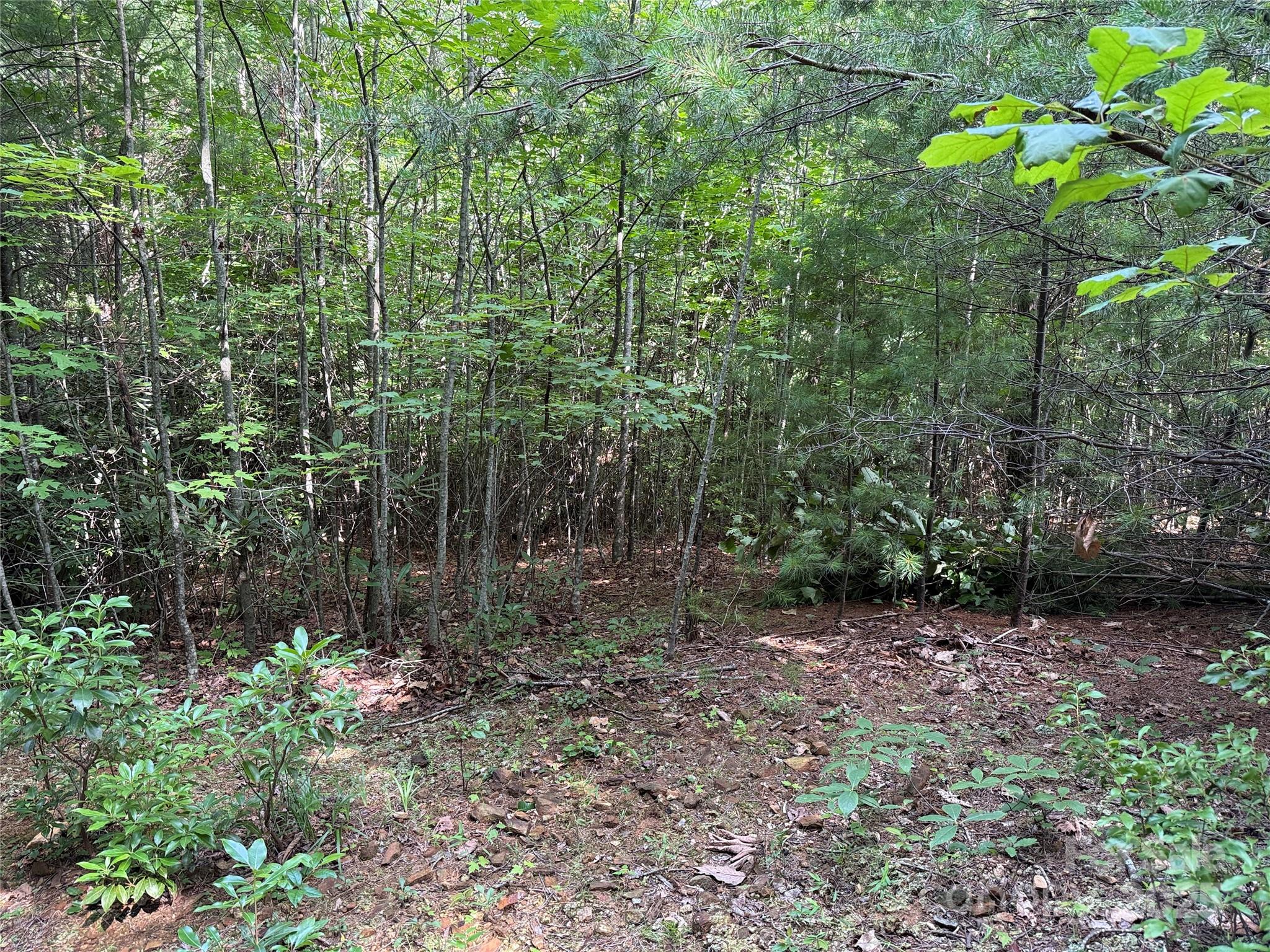 Tbd Casey Mountain Road, Unit 191 & 192 Purlear, NC 28665 - Photo 10 of 45