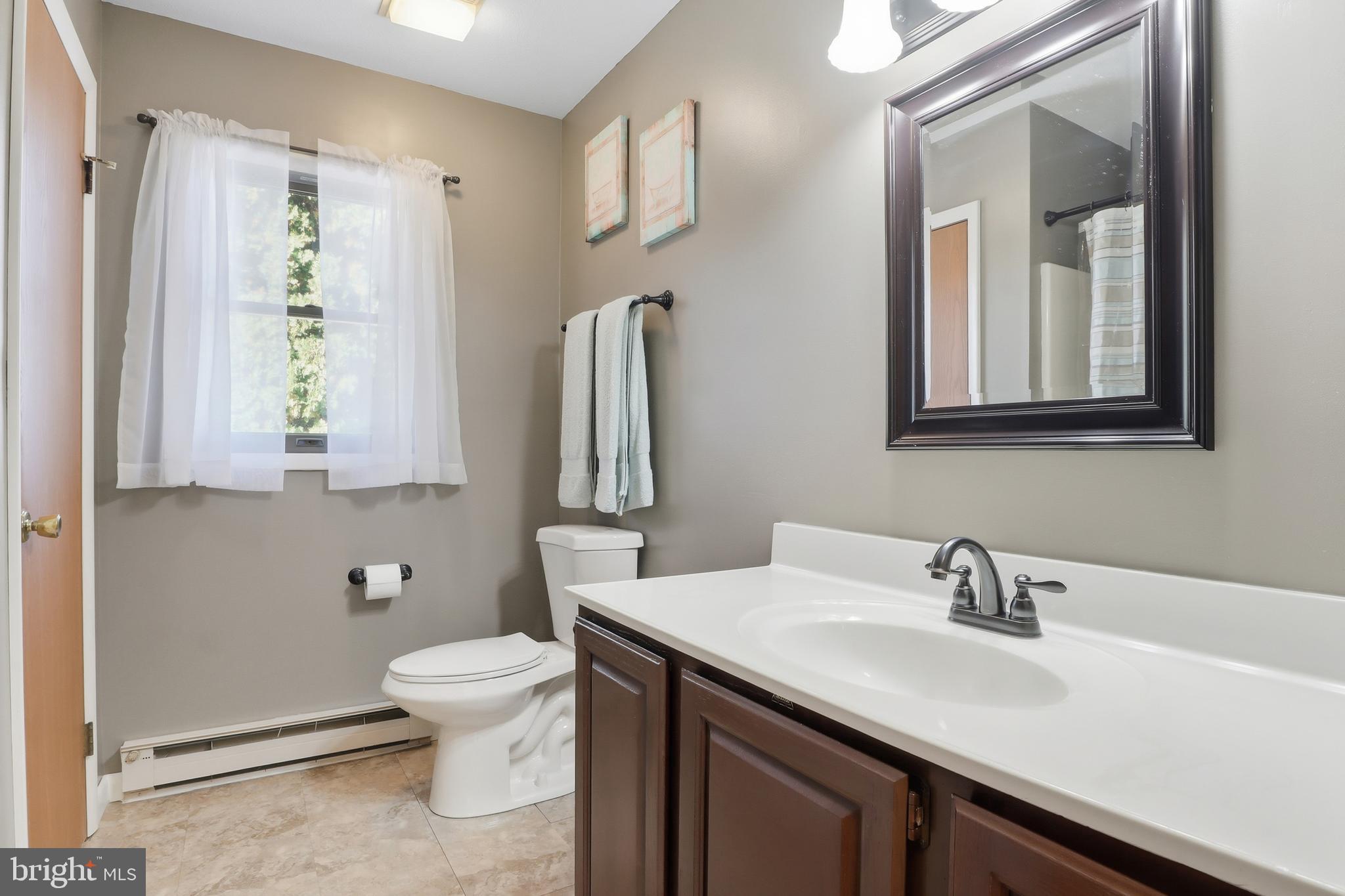 935 Pleasant Grove Road Red Lion, PA 17356 - Photo 17 of 70 a bathroom with a sink a toilet and a mirror