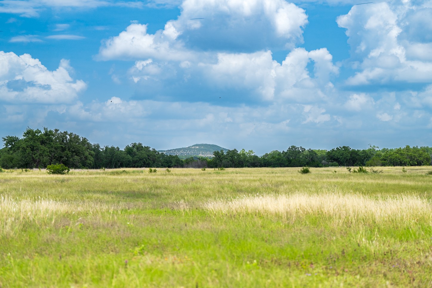 View of nature featuring rural landscape and a mountain backdrop