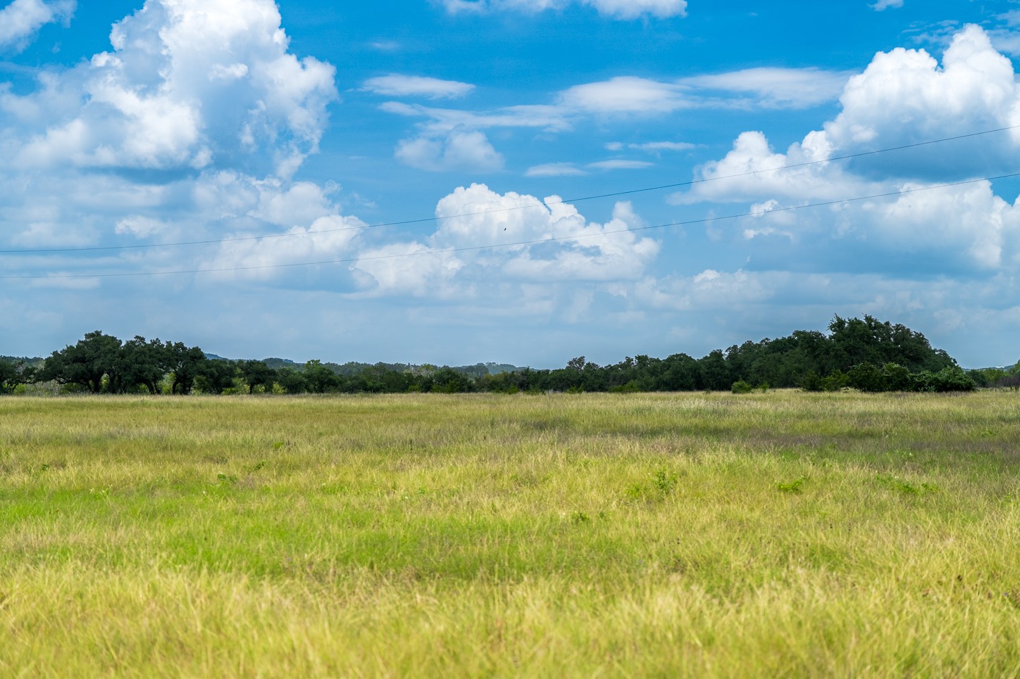 3979 Chimney Valley Road Blanco, TX 78606 - Photo 19 of 38 View of local wilderness with rural landscape