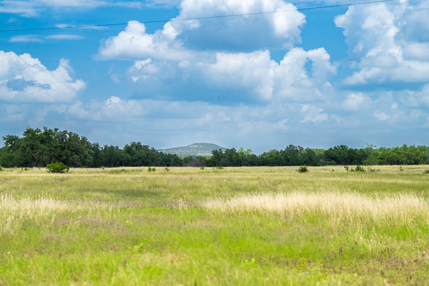 3979 Chimney Valley Road Blanco, TX 78606 - Photo 20 of 38 View of undeveloped land featuring rural landscape