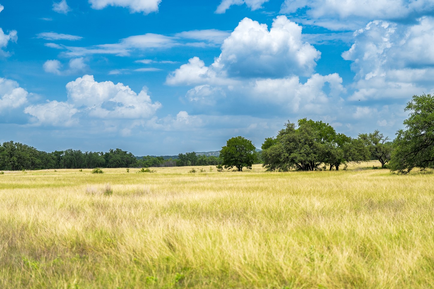 3979 Chimney Valley Road Blanco, TX 78606 - Photo 21 of 38 View of undeveloped land with rural landscape