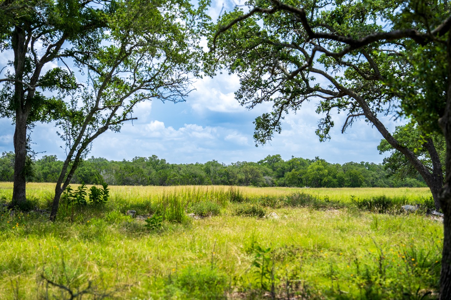 3979 Chimney Valley Road Blanco, TX 78606 - Photo 3 of 38 View of undeveloped land featuring rural landscape