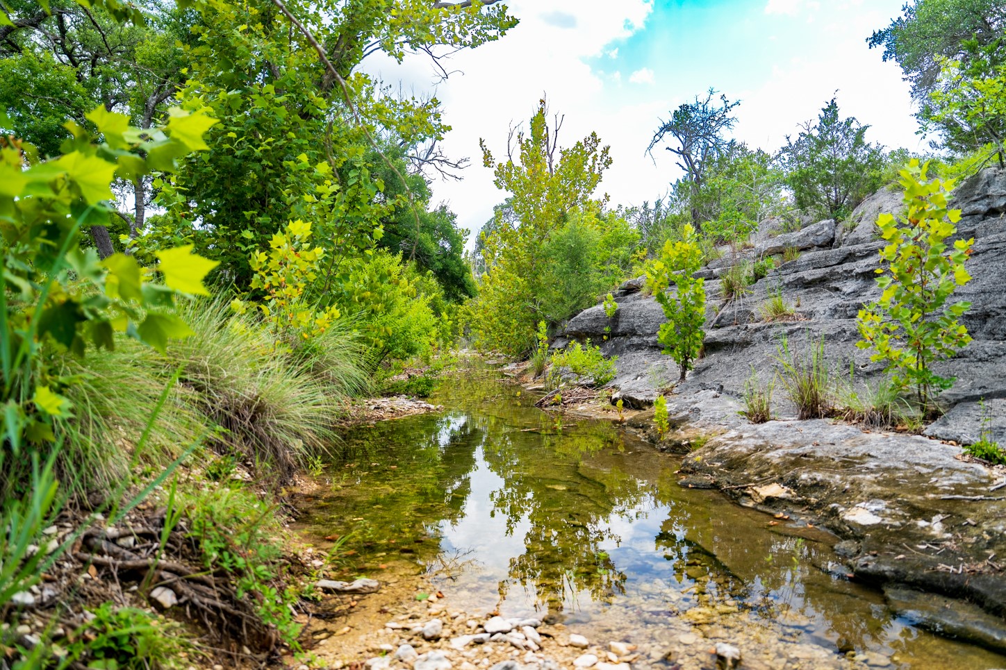 3979 Chimney Valley Road Blanco, TX 78606 - Photo 37 of 38 Water view