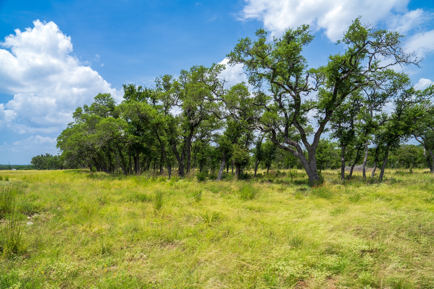 3979 Chimney Valley Road Blanco, TX 78606 - Photo 6 of 38 View of undeveloped land featuring rural landscape