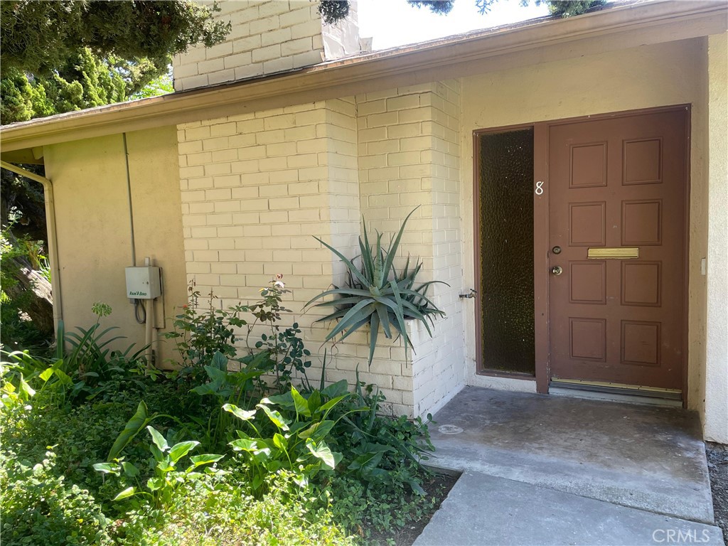 a potted plant in front of a door