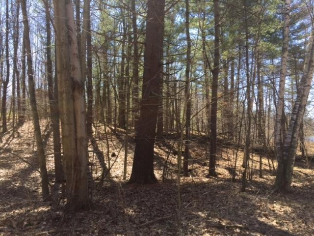 22 Mile Road Sand Lake, MI 49343 - Photo 1 of 2 IMG_2155