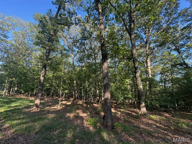 $155,000 | 160 Steeple Point Drive, Defiance, MO 63341