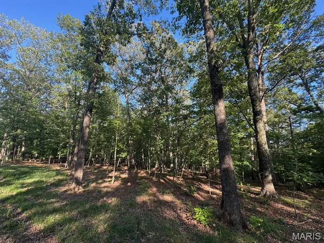 $155,000 | 160 Steeple Point Drive, Defiance, MO 63341