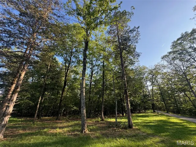 $155,000 | 160 Steeple Point Drive, Defiance, MO 63341